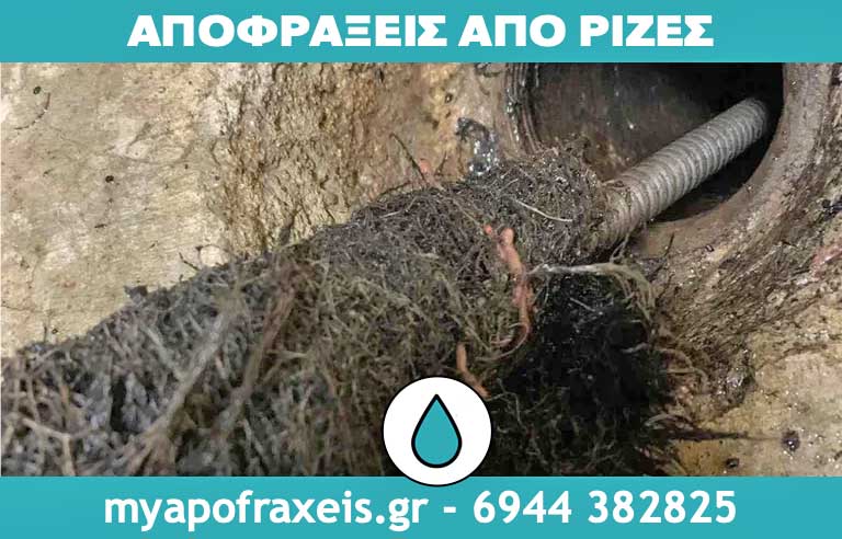 ΑΠΟΦΡΑΞΕΙΣ ΑΠΟ ΡΙΖΕΣ ΣΤΗΝ ΑΠΟΧΕΤΕΥΣΗ